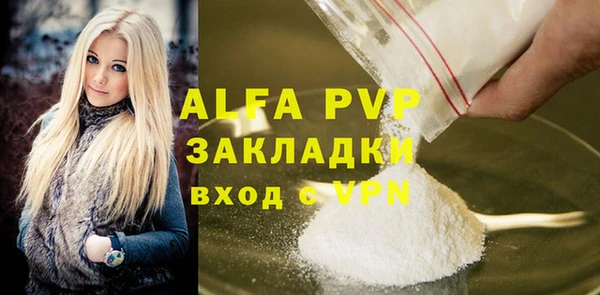 дживик Бородино