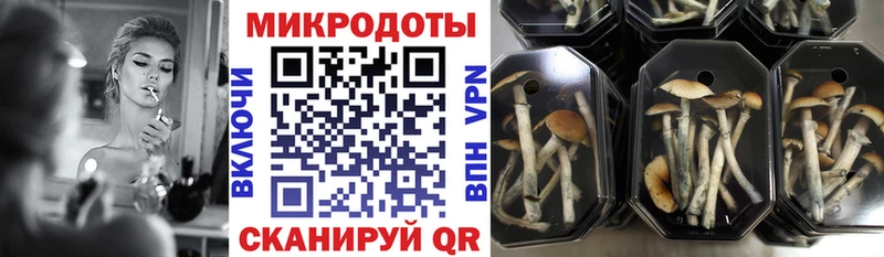 Псилоцибиновые грибы мухоморы  Киржач 